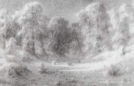 Claro del bosque Claro del bosque