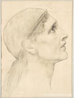 campeón olímpico campeón olímpico