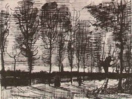 Carril con álamos Carril con álamos