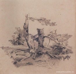 Pinos, adyacentes a la raíz del barril. Pinos, adyacentes a la raíz del barril.