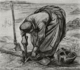 Mujer campesina, plantando remolacha Mujer campesina, plantando remolacha