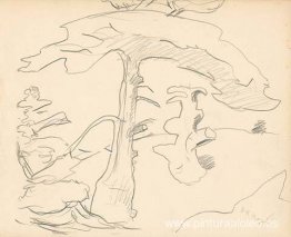 Monhegan (estudio) Monhegan (estudio)