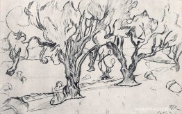 España. Kaldetes. Oliva. España. Kaldetes. Oliva.