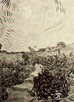 Disco solar sobre un camino entre arbustos Disco solar sobre un camino entre arbustos