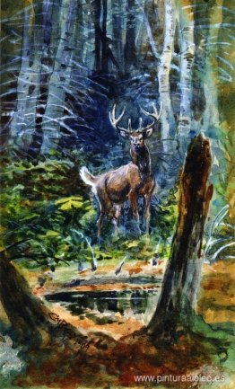 Ciervos en el Dell Ciervos en el Dell