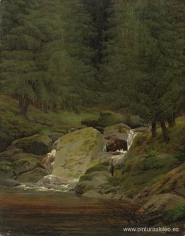 Pinos en la cascada Pinos en la cascada