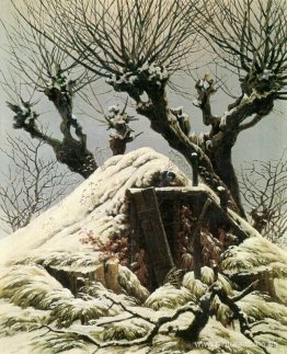árboles en la nieve árboles en la nieve