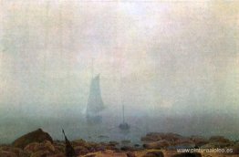 Niebla Niebla
