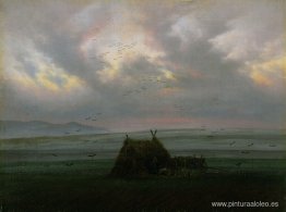 Niebla Niebla