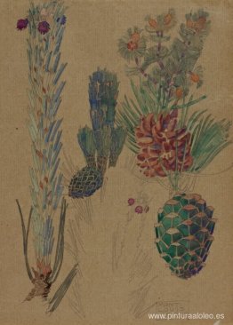 Conos de pino Conos de pino