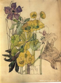 Spurge con Yham 1909 Spurge con Yham 1909