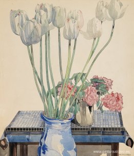 tulipanes blancos tulipanes blancos