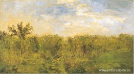 maíz tierno maíz tierno