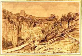 Árboles paisajísticos en la ladera de un barranco. Árboles paisajísticos en la ladera de un barranco.