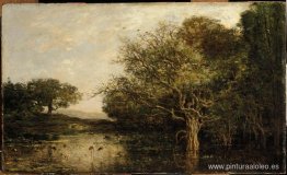 El estanque con garzas. El estanque con garzas.