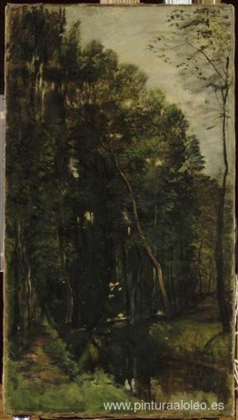 El bosque y el arroyo. El bosque y el arroyo.