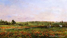 Campos en el mes de junio. Campos en el mes de junio.