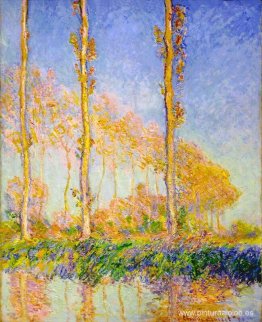 Álamos, Otoño, Efecto Rosa Álamos, Otoño, Efecto Rosa