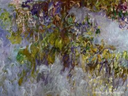 Glicina (mitad izquierda) Glicina (mitad izquierda)