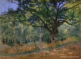 El roble de Bodmer, Fontainebleau El roble de Bodmer, Fontainebleau