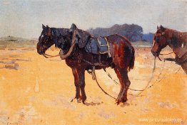 Caballos de trabajo Caballos de trabajo