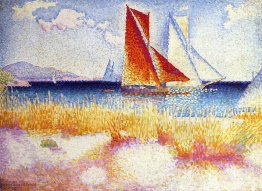 Regata Regata
