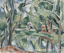 un estanque un estanque