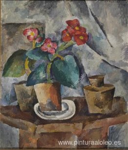 Bodegón. Flores en los bancos. Begonias. Bodegón. Flores en los bancos. Begonias.