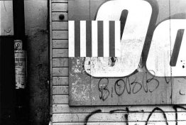 en las paredes en las paredes