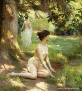 Luz del sol Luz del sol