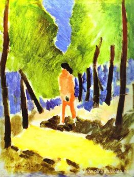 Desnudo en un paisaje iluminado por el sol Desnudo en un paisaje iluminado por el sol