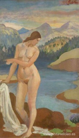 Bañista en las montañas de Gales Bañista en las montañas de Gales