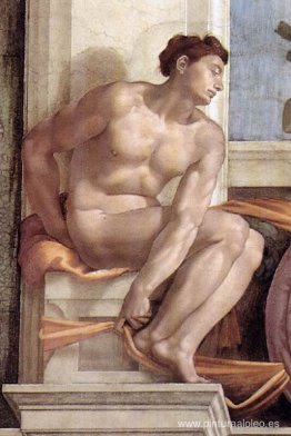 Desnudo Desnudo