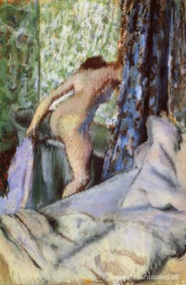 El baño de la mañana El baño de la mañana