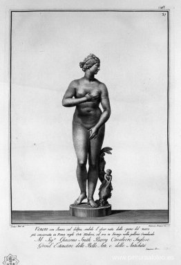 Venus Medici Venus Medici