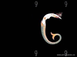 Alfabeto g Alfabeto g