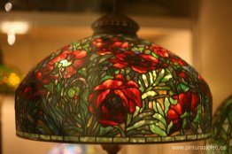 Amapola oriental roja Amapola oriental roja