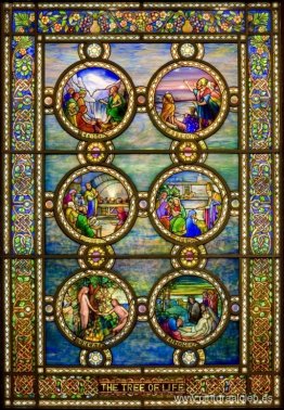 Ventana del árbol de la vida Ventana del árbol de la vida