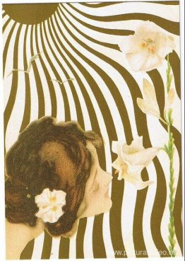 mujeres sol mujeres sol