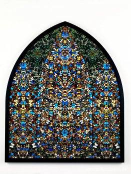 Mariposas Philips Mariposas Philips