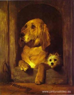 Dignidad y descaro Dignidad y descaro