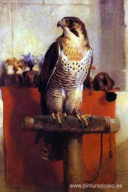 el halcón el halcón