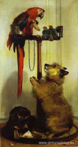 Cachorros de guacamayo, tortolitos, terrier y spaniel, perteneci Cachorros de guacamayo, tortolitos, terrier y spaniel, perteneci