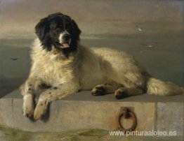 Un miembro distinguido de la Humane Society Un miembro distinguido de la Humane Society