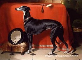 Eos, el galgo favorito del príncipe Alberto Eos, el galgo favorito del príncipe Alberto