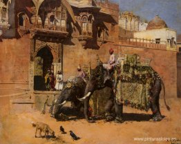 Elefantes en el Palacio de Jodhpore Elefantes en el Palacio de Jodhpore