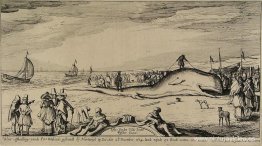 Cachalote en la playa de Noordwijk Cachalote en la playa de Noordwijk