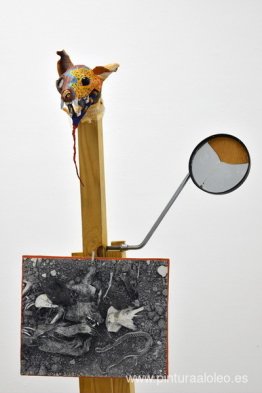 Mapache (Mofeta) Mapache (Mofeta)