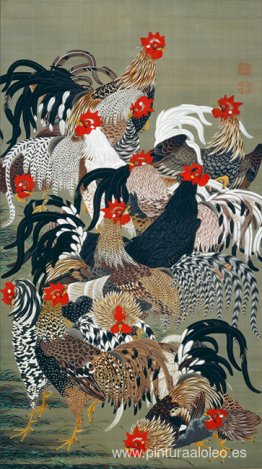 gallos gallos