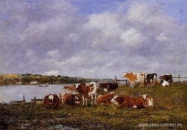 Pastos, el Valle de los Touques Pastos, el Valle de los Touques